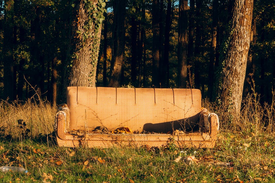 An old, beige fabric-upholstered sofa with a textured pattern is positioned outdoors in a natural setting, resting directly on a grassy area surrounded by fallen leaves and weeds. The sofa shows visible signs of wear, including torn fabric on its arms and backrest, and appears stained and weathered. It is placed in front of a backdrop of tall trees with thick, textured bark and dense foliage, indicating a forested environment. Sunlight filters through the trees, casting uneven light and shadows on the sofa and surrounding grass, suggesting late afternoon or early evening. The scene presents an example of private waste handling, where an unused piece of furniture has been discarded outdoors, aligning with the context of independent rubbish removal services such as those offered by rubbishremovalcrystalpalace.com, which facilitate the collection and proper disposal of bulky items like old furniture in residential or rural areas.